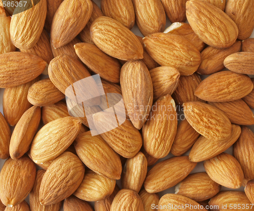 Image of Almond nuts.       