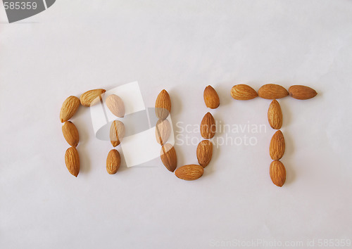 Image of Almond nuts.       