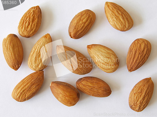 Image of Almond nuts.       