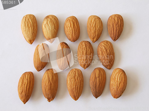 Image of Almond nuts.       