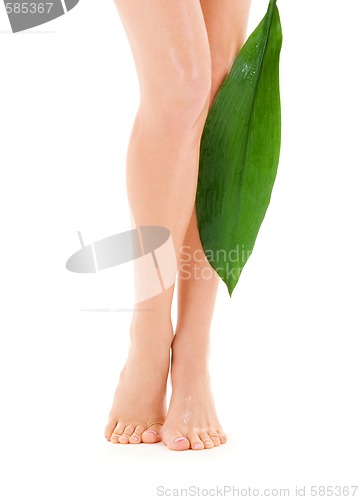 Image of female legs with green leaf