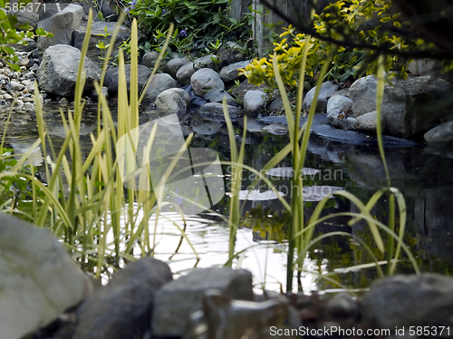 Image of Biotope