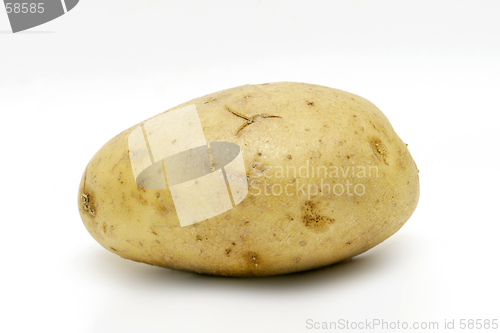 Image of Potato