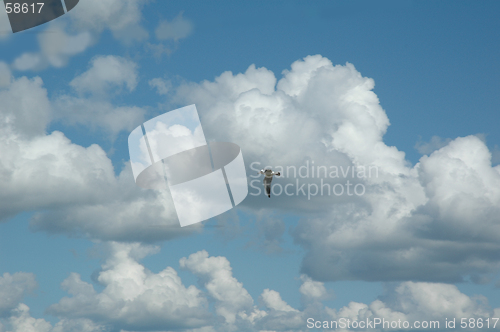Image of The Sea gull in clouds.