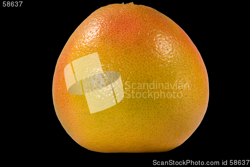 Image of Grapefruit isolated on black background with clipping path