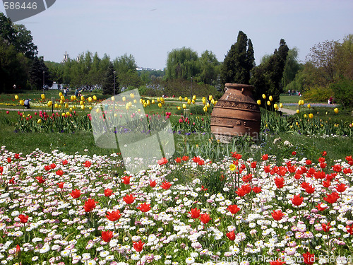 Image of Spring in the parc