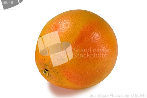 Image of Grapefruit isolated on white background with clipping path