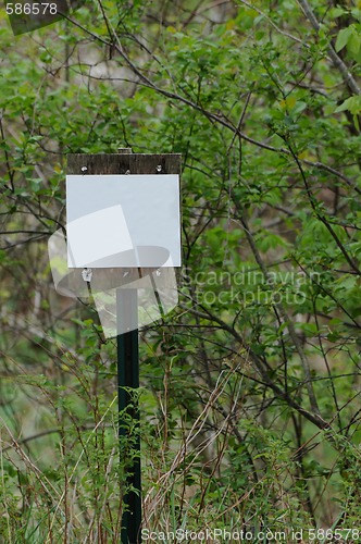 Image of Blank Sign In The Forest