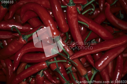 Image of Chilli