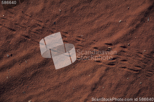 Image of Lizardtracks in desert