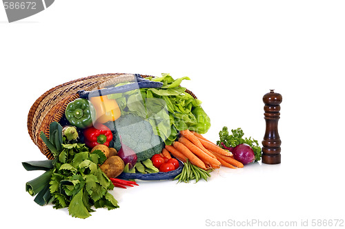Image of Fresh Vegetable