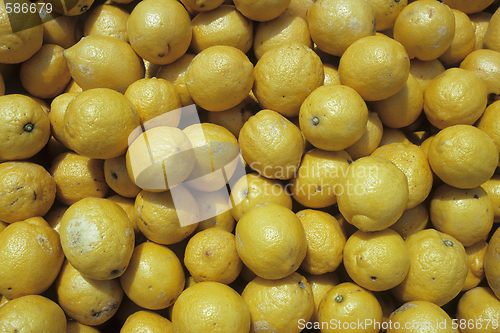 Image of Lemons