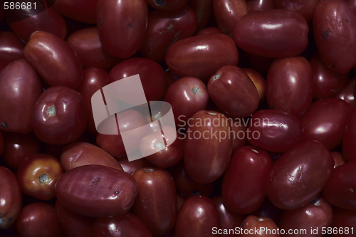 Image of Tomatoes