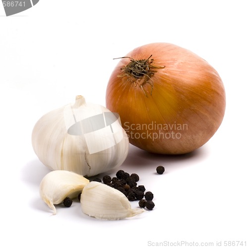 Image of onion and garlic