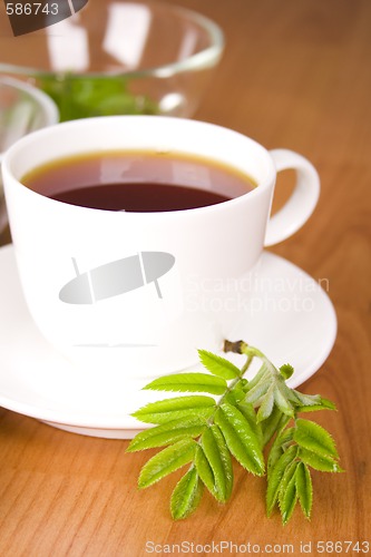 Image of cup of black tea