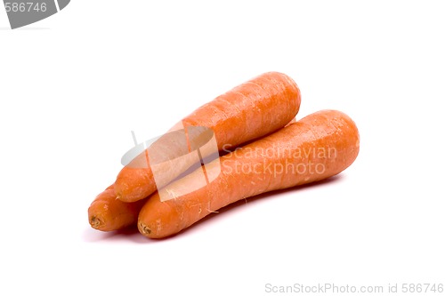 Image of fresh carrots