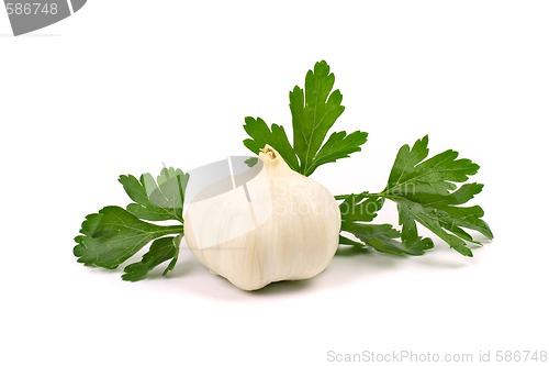 Image of garlic with green parsley