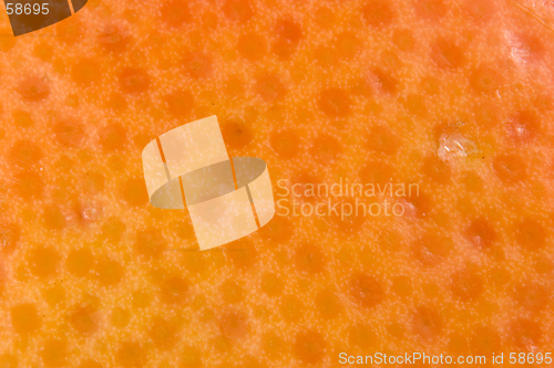 Image of Texture of grapefruit skin