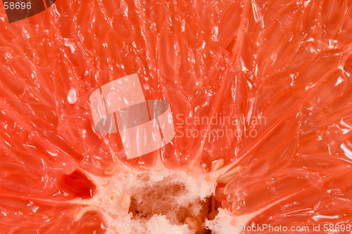 Image of Texture of grapefruit