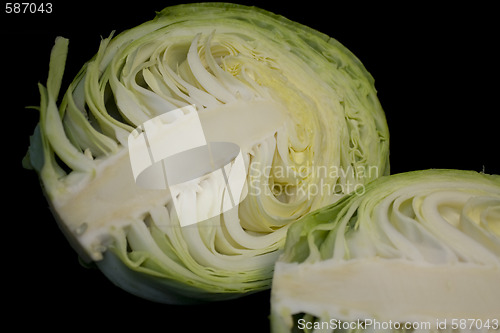 Image of cabbage