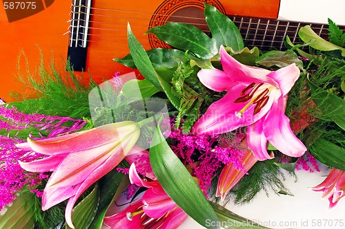 Image of Pink lily guitar composition