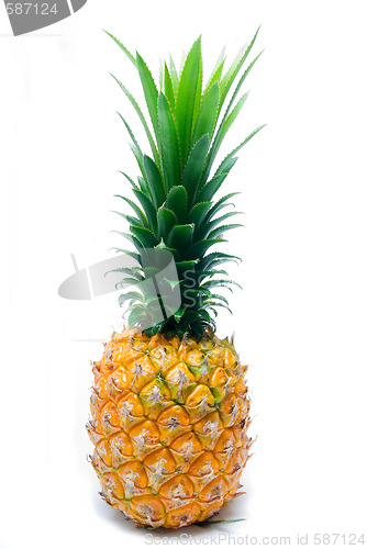 Image of pineapple
