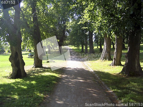 Image of A walk in the park