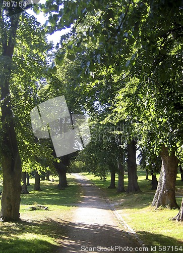 Image of A walk in the park