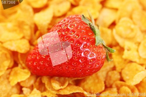 Image of healthy snack