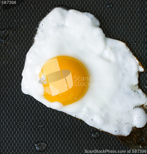 Image of fried egg