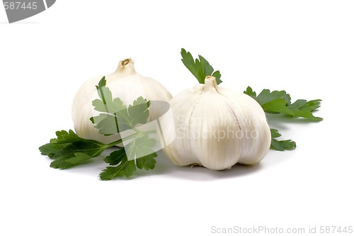 Image of garlics with parsley