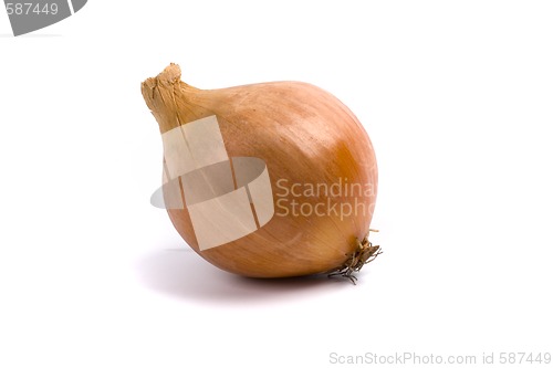 Image of onion