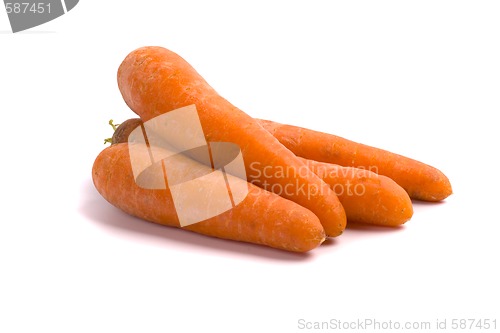 Image of fresh carrots