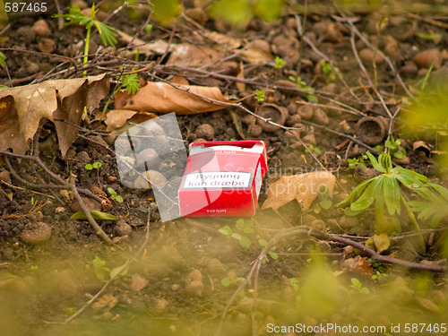 Image of Environmental awarness - Empty cigarette pack in bushes