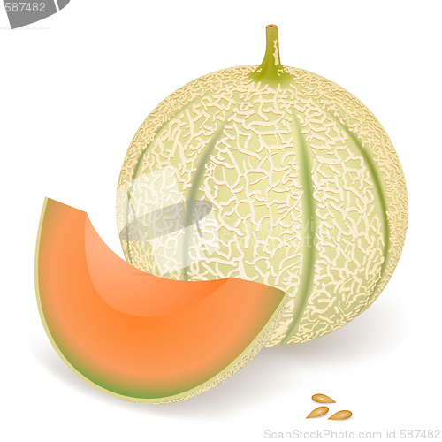 Image of Melon