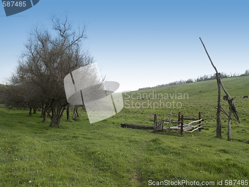 Image of Spring countryside