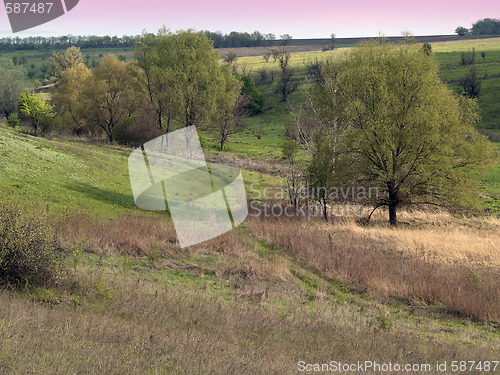 Image of Spring countryside
