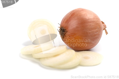 Image of onion