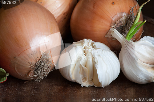 Image of garlic and onions