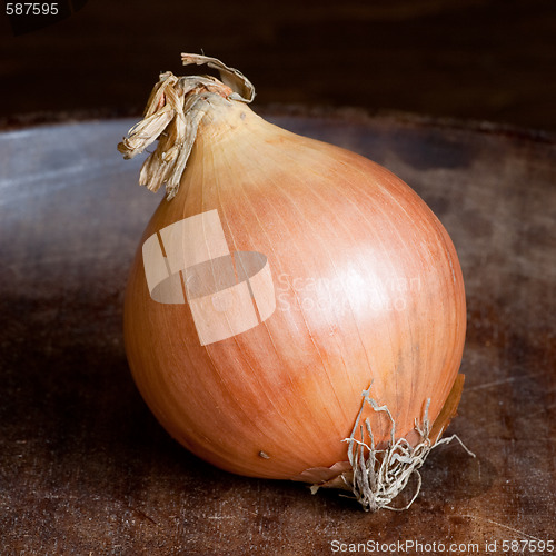 Image of Onion