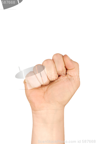 Image of Hand