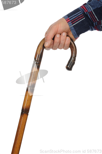 Image of Cane