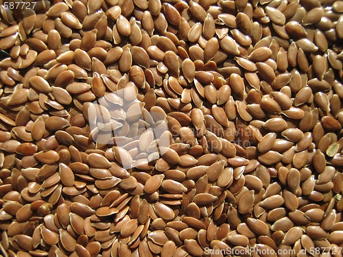 Image of  seed