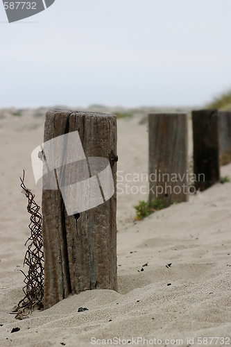 Image of Old Fence Poles