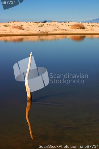 Image of Stick In The Water