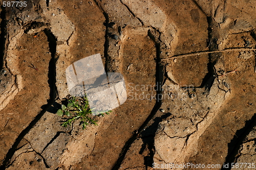 Image of Truck Tracks