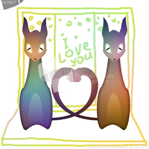 Image of cats