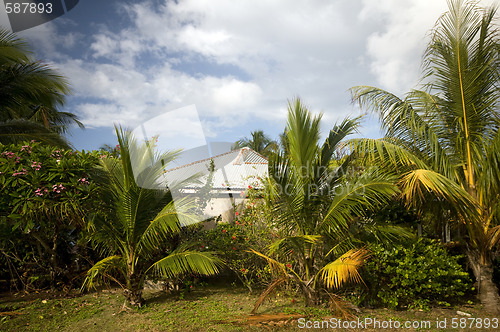 Image of tropical landscape with zinc metal roof house