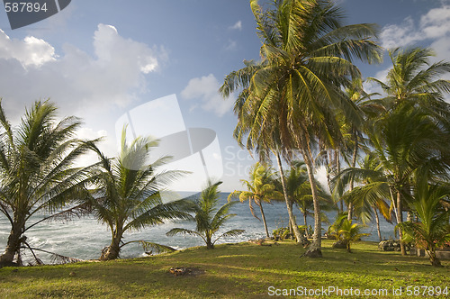 Image of tropical landscape