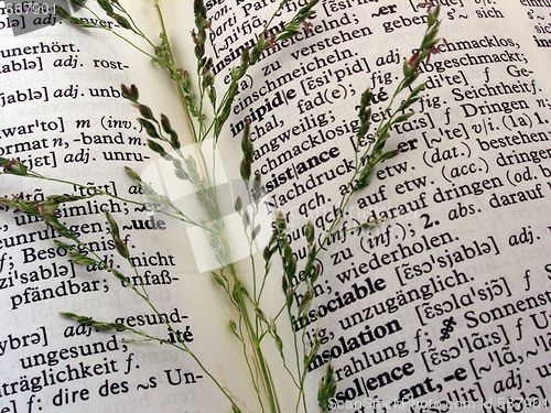 Image of dictionary